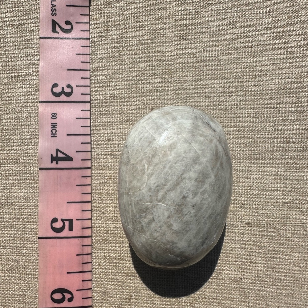 White Moonstone Palm
